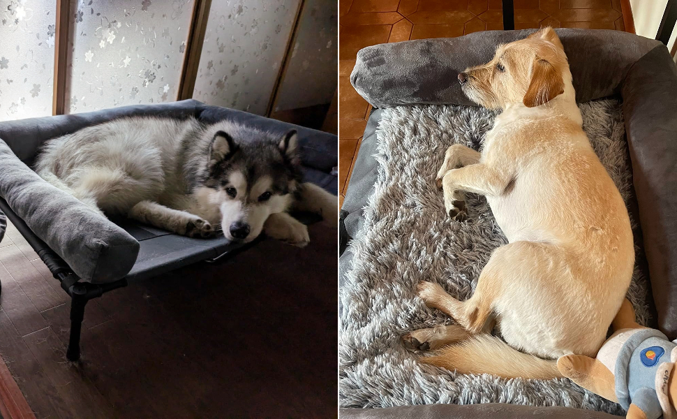 brandina per cani letto per cani cuccia cane interno taglia media lettino cane da campeggio esterno