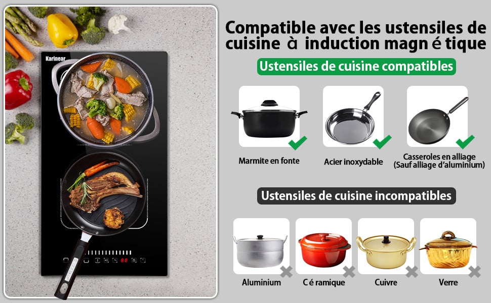 Karinear plaque a induction 2 feux