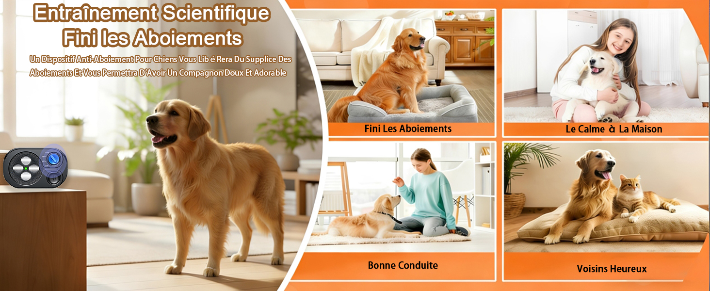Bannière d'image composite montrant plusieurs photos de chiens et de leurs propriétaires à la maison, présentant diverses interactions et activités avec les animaux de compagnie.