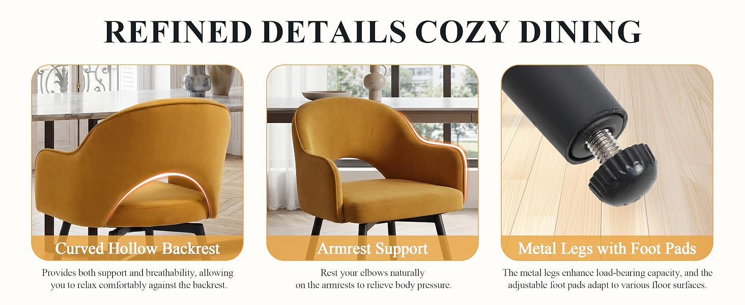 Text reads 'REFINED DETAILS COZY DINING'. Three furniture panels showing: golden curved dining chair, matching chair with ottoman, and binoculars. Modern cozy dining room furnishings displayed.