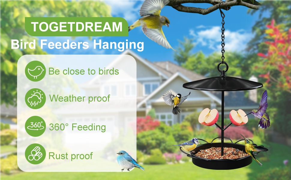 Comedero para pájaros de exterior