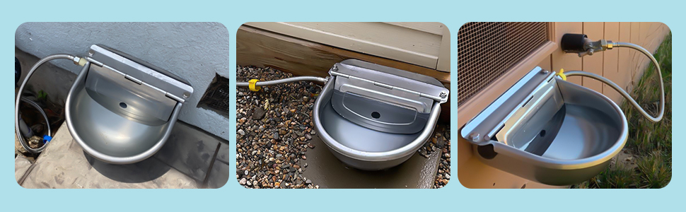 automatic waterer for goats