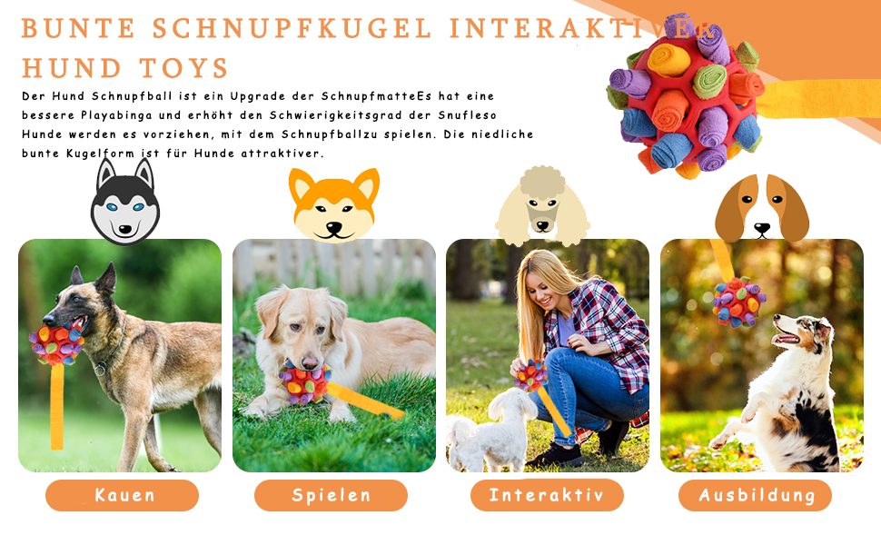 Schnüffelball für Hunde