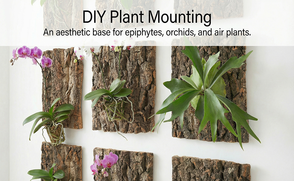 Text reads 'DIY Plant Mounting' and 'An aesthetic base for epiphytes, orchids, and air plants.' Wall-mounted orchids and plants displayed on natural bark sections against white wall.