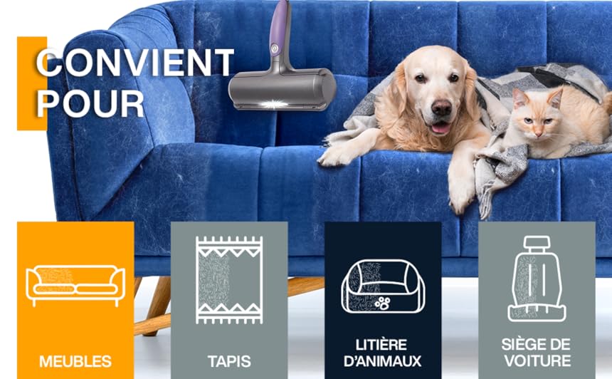 Spazzola Per Peli Di Animali Domestici, Raccogli Peli Per Gatti/cani, Viola E Grigio, Per Divano/vestiti -Cibi per cani in Italia AAHKMJXYDAFdJAOAIMEbOAchlkWZ0oakZn uVZ0mPidMNbILvCvspZ4oG3fPgIqc1P26RdPiG8KHKUtblW5 ULKvLD1OHzwX jolGWPZGyLZfD