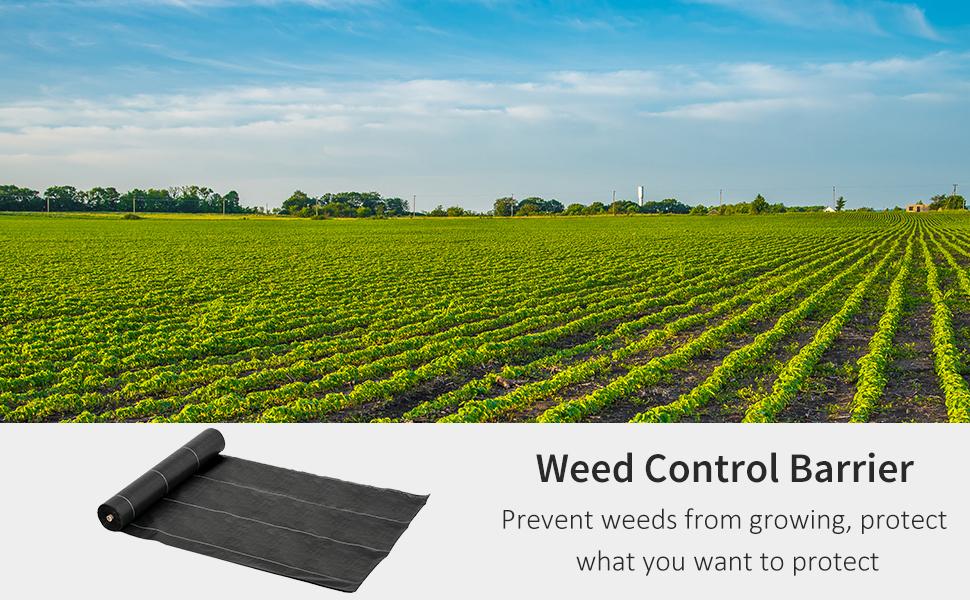 Outsunny Weed Barrier Fabric Durable Convenient Design Weed Block Mat 2m X 50m -Indoor Flower Pot AAHKMJXYDAFdJAOAIMEbOAchlkWZ0oakZn uVZ0mPidMNbILvCvspZ4oG3fPgIqc1P26RdPiG8KHKUtblW5 ULKvLD1OHzwX jolGWPZGyLZfD IEj kBNQ RiV4HHbwD9exRCBQ8naWnfaoZxKcd3taA BEl6GLIyPnMs yDF8299pTcGurthFctbN2l9kxQjwR22VxWyfE6dlyW