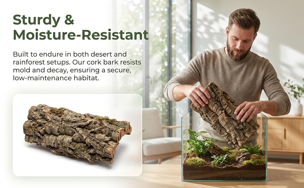 Text reads 'Sturdy &amp; Moisture-Resistant' and 'Built to endure in both desert and rainforest setups. Our cork bark resists mold and decay, ensuring a secure, low-maintenance habitat.' Cork bark log product shown with man holding terrarium in home setting.