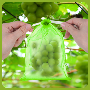 Sac de Protection de Raisin