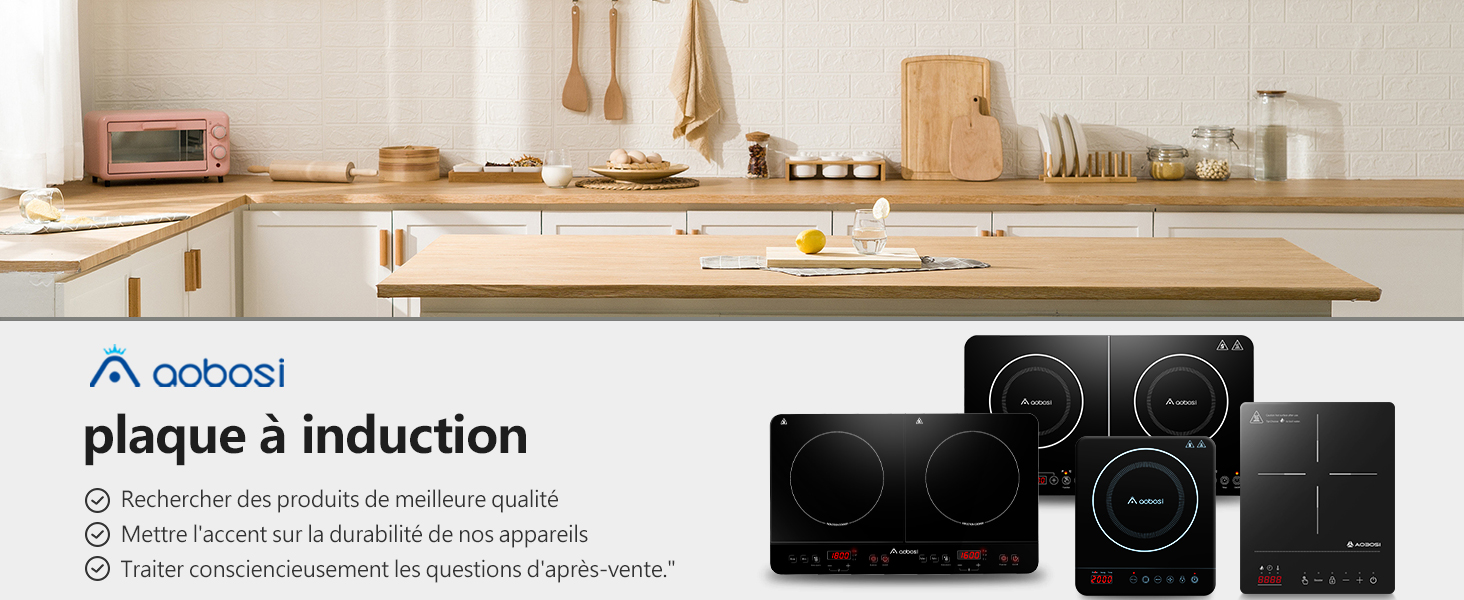 Plaque de cuisson à induction,plaque à induction portable