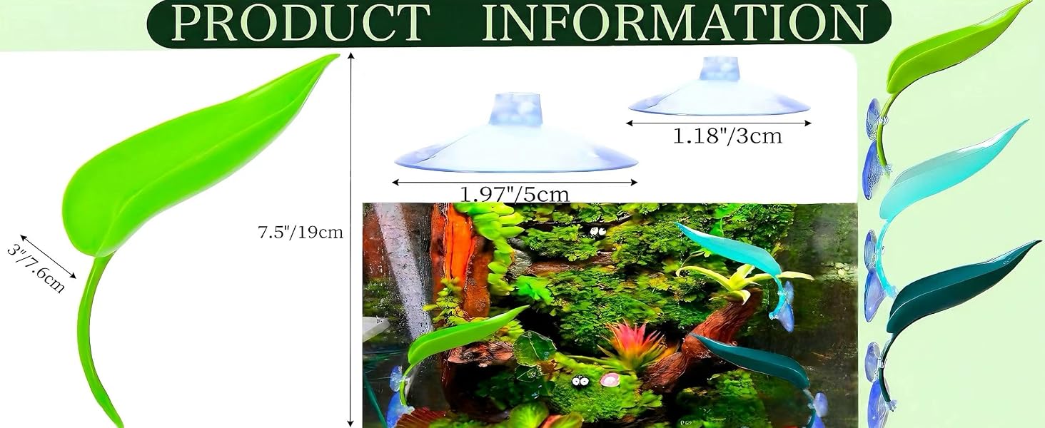 aplus content image