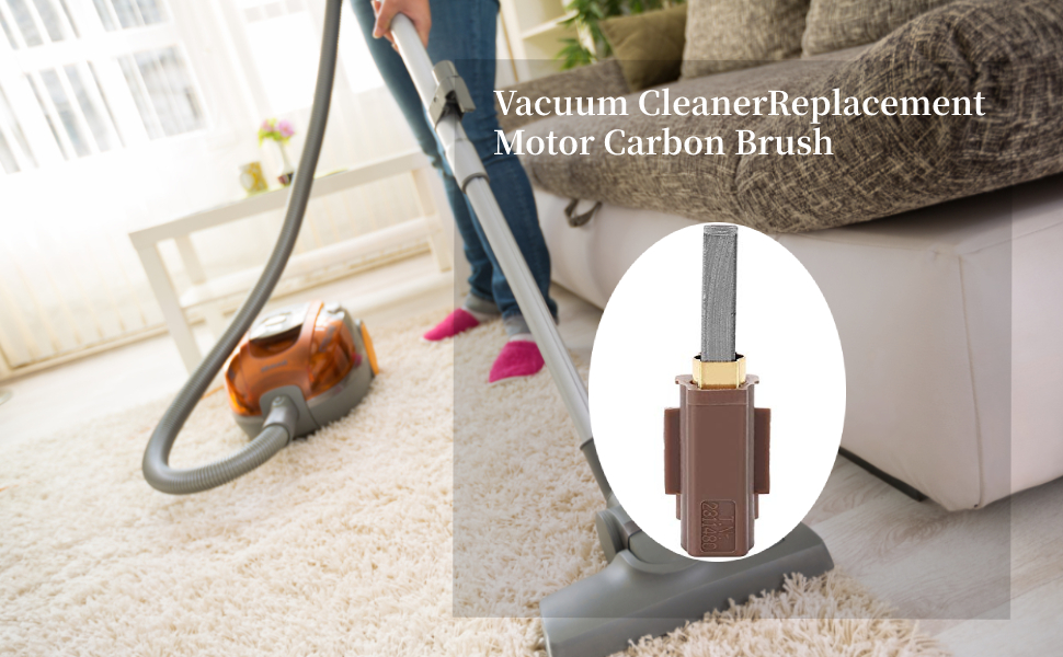 Carbon Brush Replacement