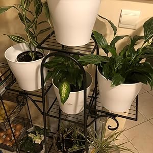 estanteria plantas interior
