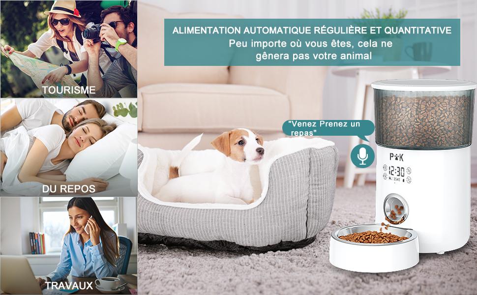 Distributeur de Croquettes pour Chat