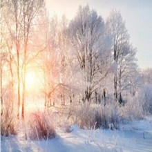 Frost Protection