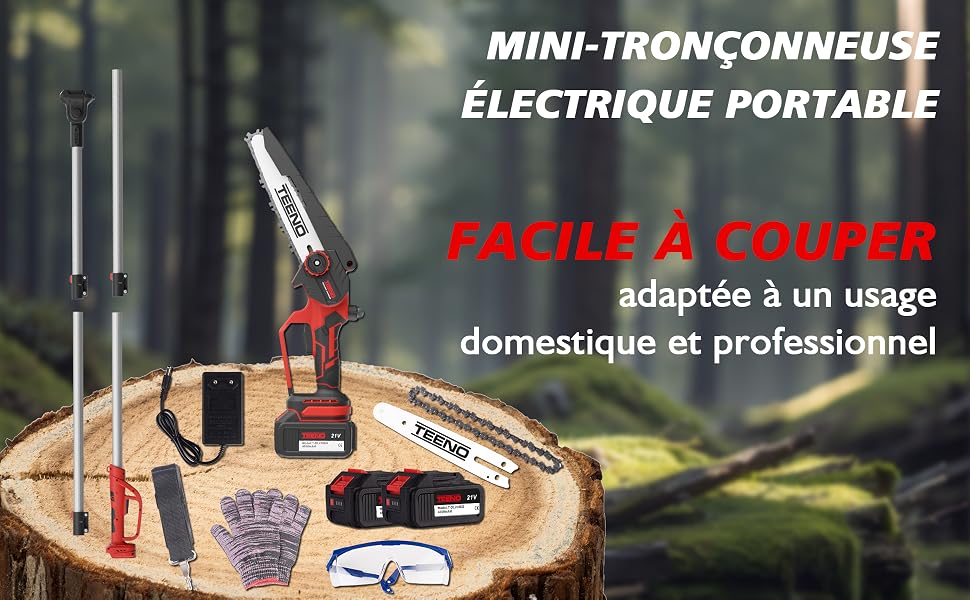sur souche d'arbre. Comprend une scie, une batterie, un chargeur, un équipement de sécurité et une rallonge. Annoncé comme étant facile à utiliser à des fins domestiques et professionnelles.