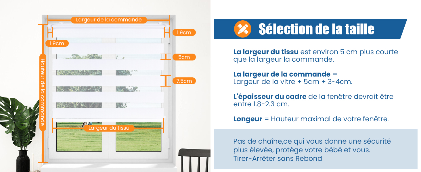 taille