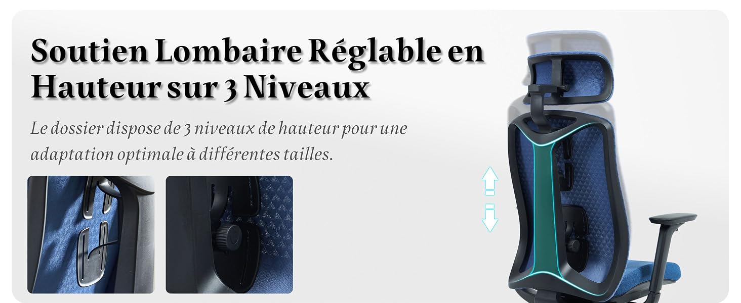 Le texte indique « Soutien Lombaire Réglable en Hauteur sur 3 niveaux ». Plusieurs images montrant un coussin de soutien lombaire réglable de couleur bleu sarcelle sur une chaise de bureau.
