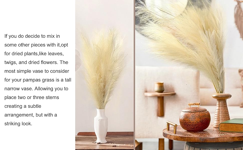 erba artificiale della pampa