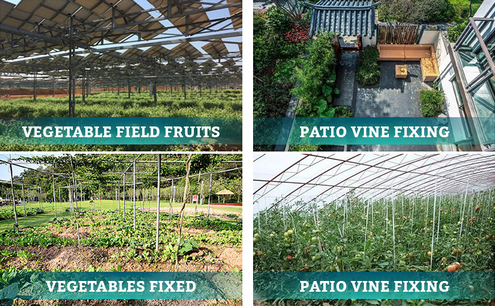 Grille à quatre panneaux montrant les structures de serres et de jardins avec des textes superposés pour les champs de légumes et les systèmes de fixation des vignes en terrasse