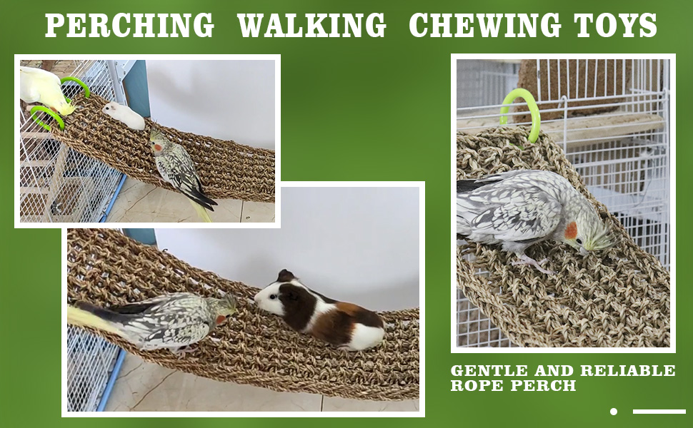 Bird Seagrass Mat