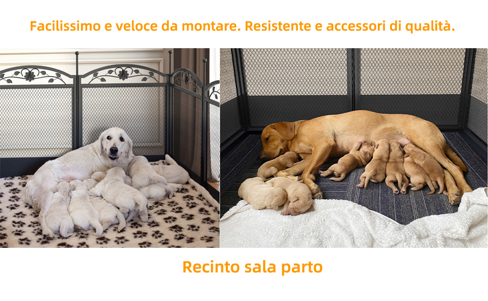 BingoPaw Recinto Box per cani: Recinto sala parto Recinzione Parto Gabbia Cane Gatti