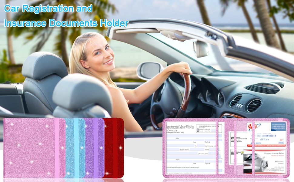 Car Registration and Insurance Holder