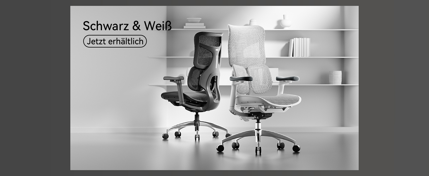 Schwarzweißbild von zwei modernen Bürostühlen in einer minimalistischen Umgebung mit weißen Regalen.