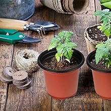 Outils de jardinage et petites plantes en pot sur une surface en bois, présentant des semis et du matériel de plantation pour le jardinage domestique