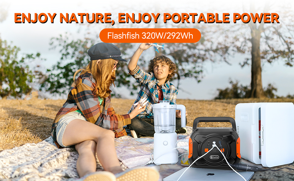 300Wh backup power