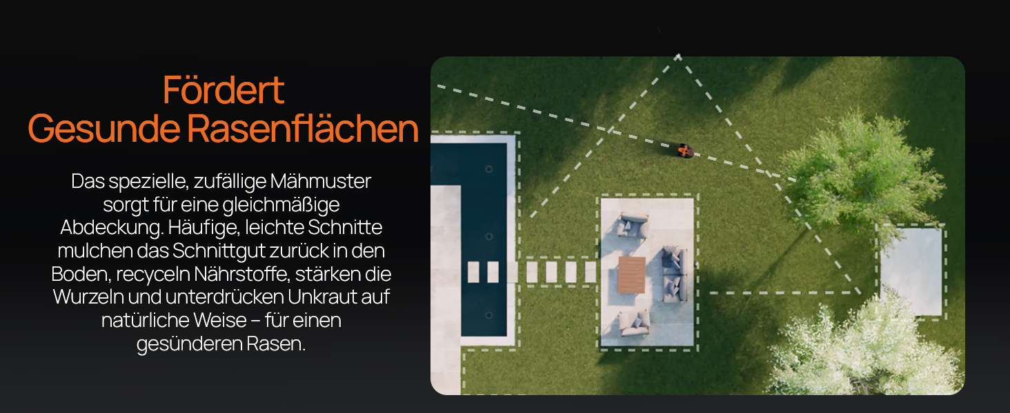 Helles, modernes Interieur mit großen Fenstern und Büromöbeln. Mehrere Paneele zeigen verschiedene Blickwinkel desselben Raums bei natürlichem Licht.