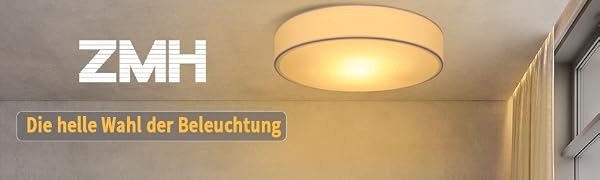 ZMH