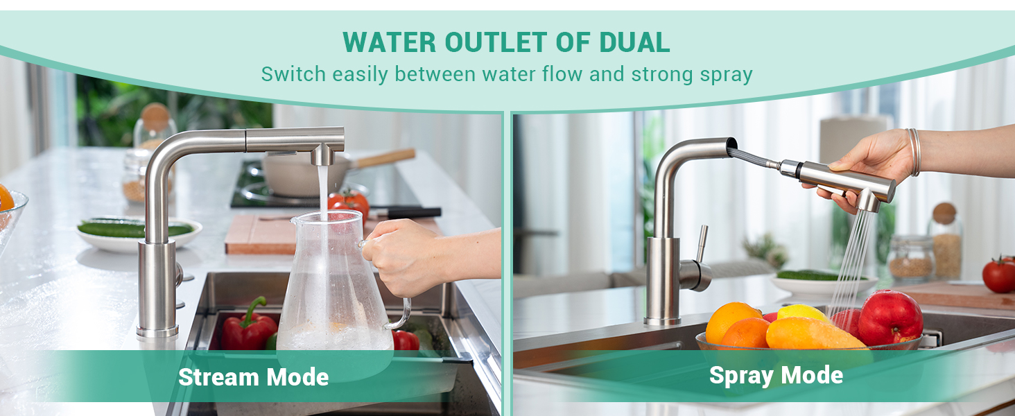 DAYONE Kitchen Taps with Pull Out Spray, Stainless Steel Kitchen Sink Taps