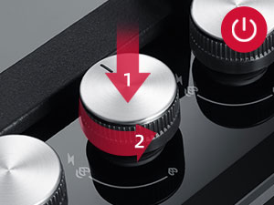 GH2905BG1FC