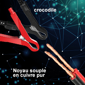 Pinces crocodiles de haute qualité