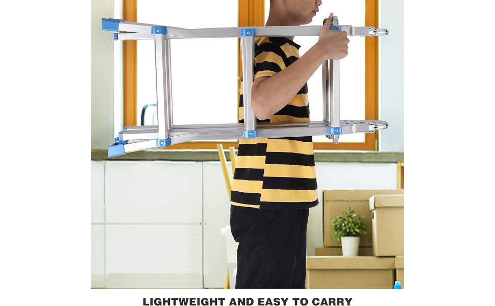 littlegiant1