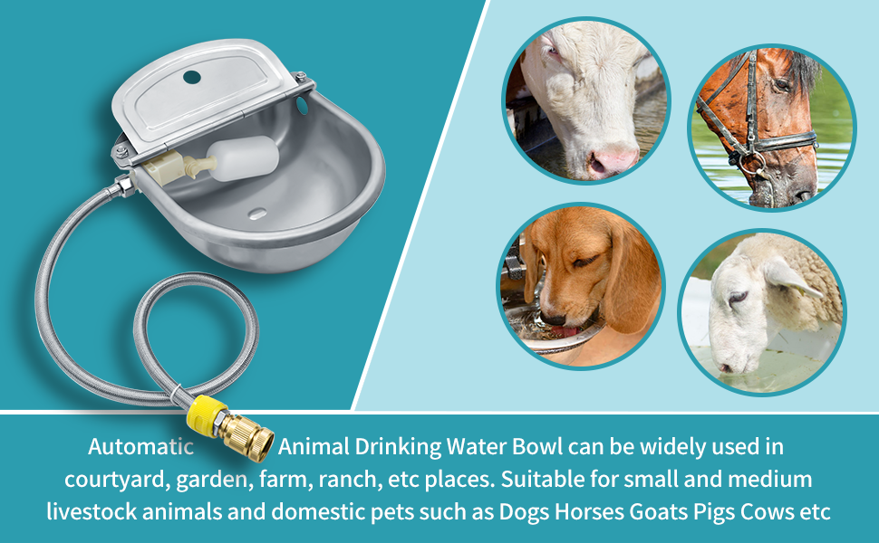 automatic drinking water bowl
