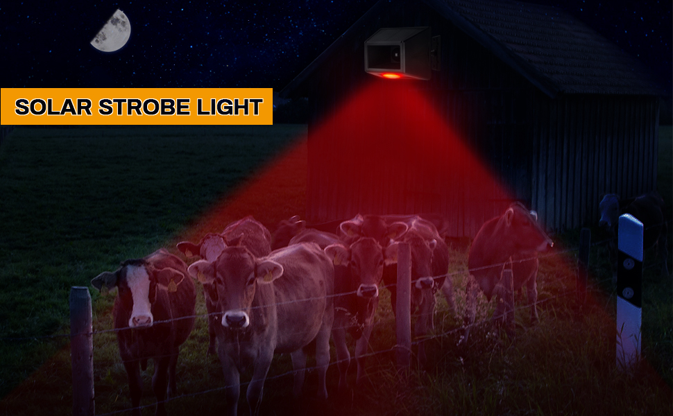 Solar Strobe Light