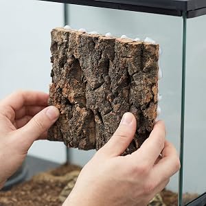Sequential images showing hands handling and examining pieces of dark, textured tree bark against a light background.