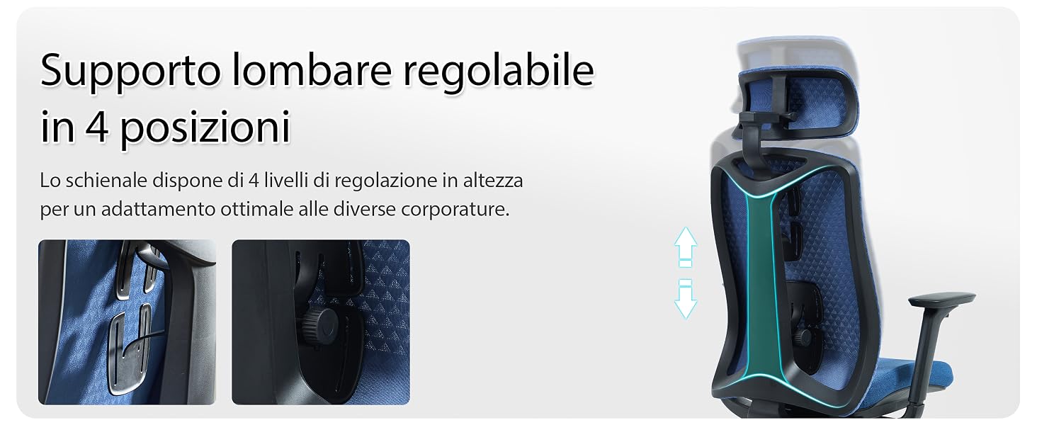 Il testo dice 'Supporto lombare regolabile in 4 posizioni'. Diverse immagini del prodotto che mostrano un dispositivo di supporto lombare regolabile in colore blu con diverse opzioni di posizionamento.