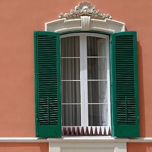 Bird Spikes