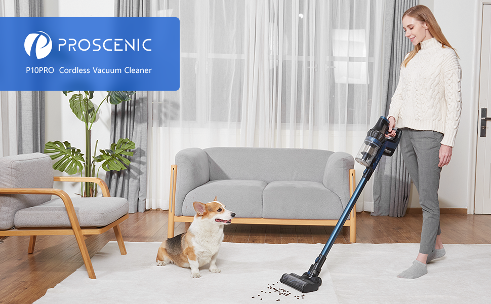 Cordless vacuum cleaner