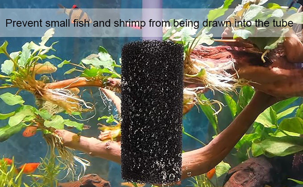 Aquarium filter sponge preventing small fish and shrimp from entering tube. Split image shows sponge in use and hand holding it.