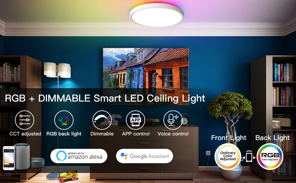 Anten LED Alexa Smart home 24W Deckenlampe,wifi led deckenleuchte farbwechsel Steuerbar via App