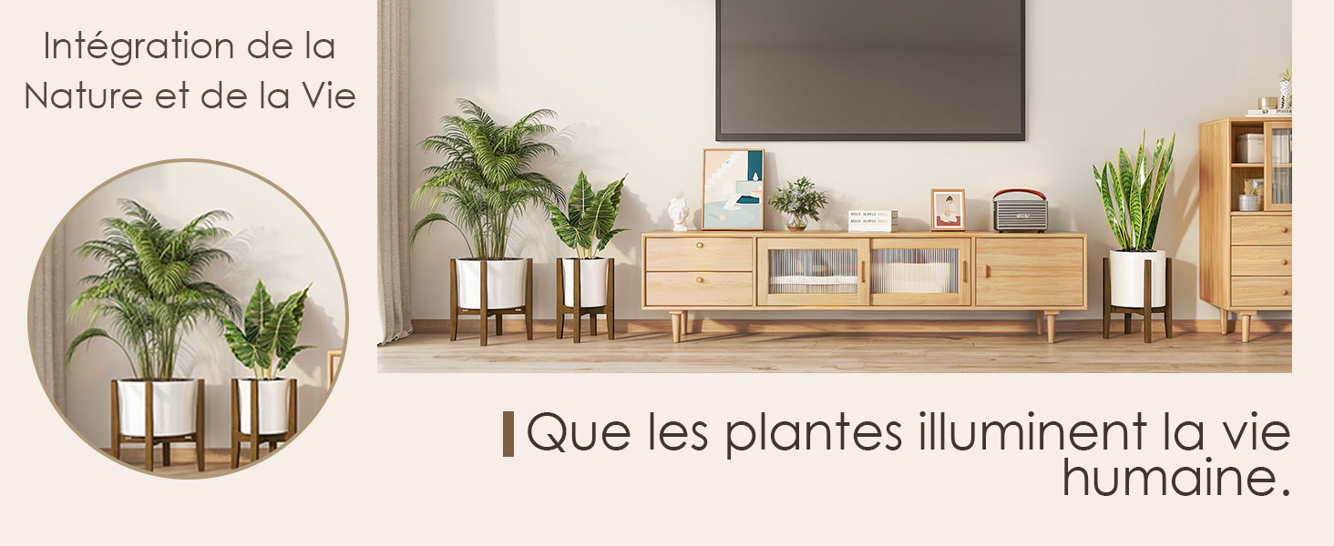 Salon moderne avec des meubles en bois, des plantes en pot et une télévision. L'encart circulaire montre un gros plan de plantes dans des pots blancs sur des supports en bois