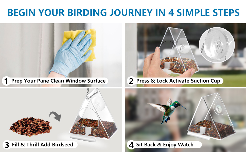 bird feeder for window