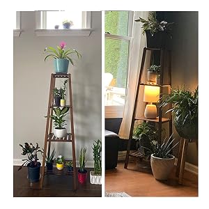 echelle plantes