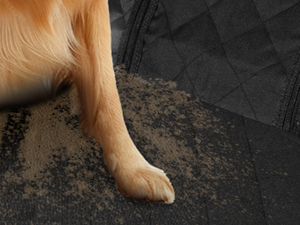 a dog's paw covered in sand