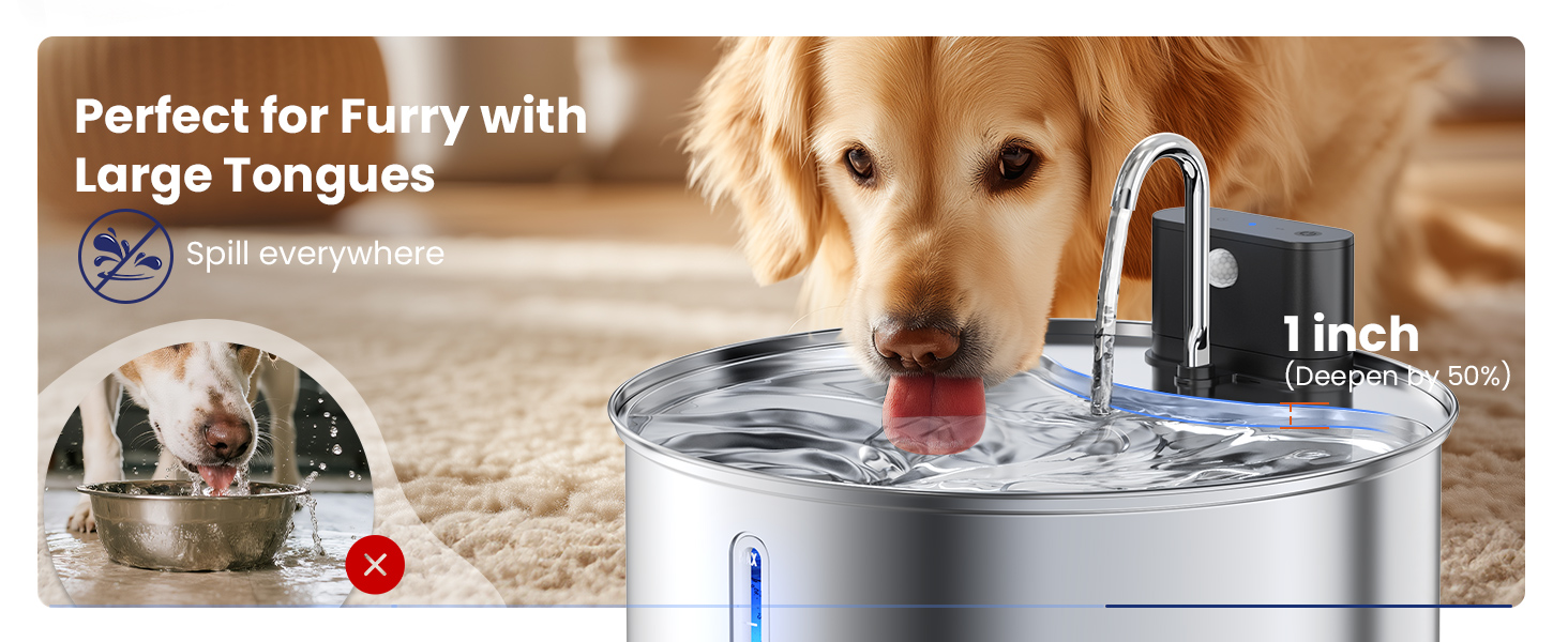 dog water dispenser