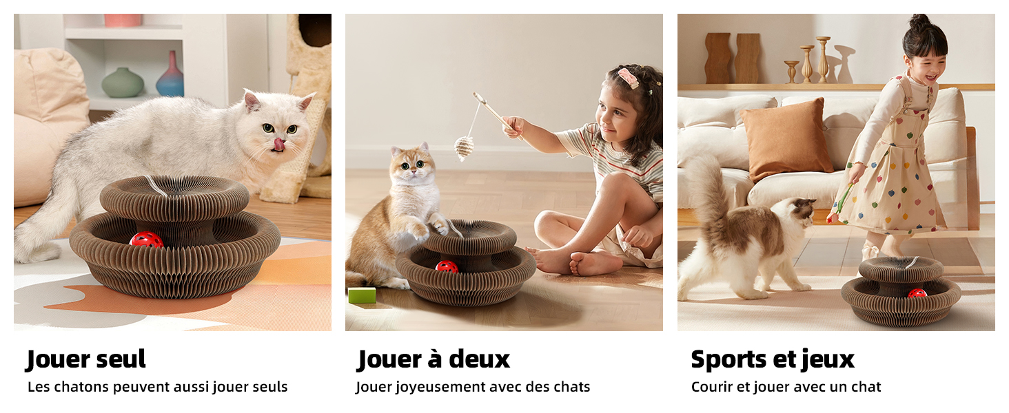 Griffoir pour Chat Carton avec Balle