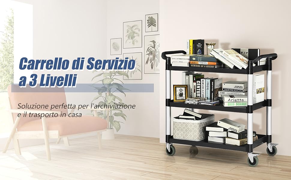 Carrello di Servizio